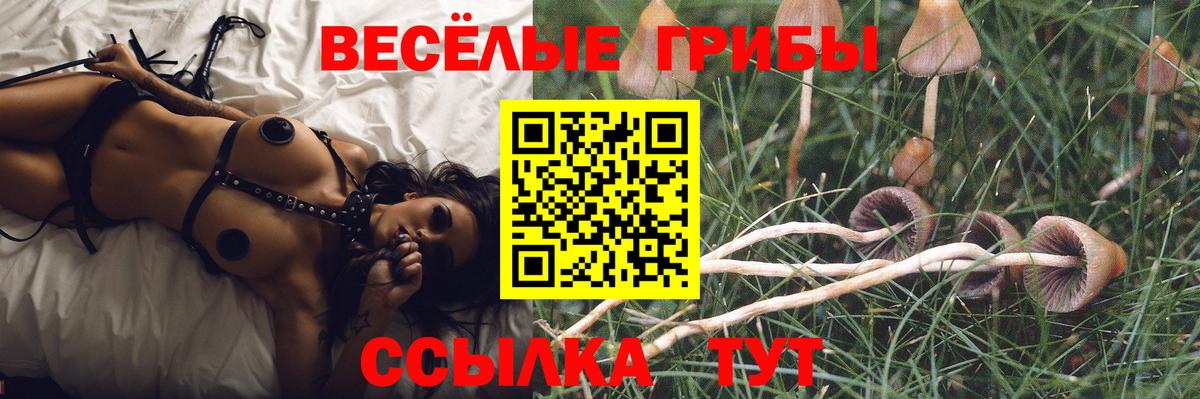 Галлюциногенные грибы GOLDEN TEACHER Шарыпово